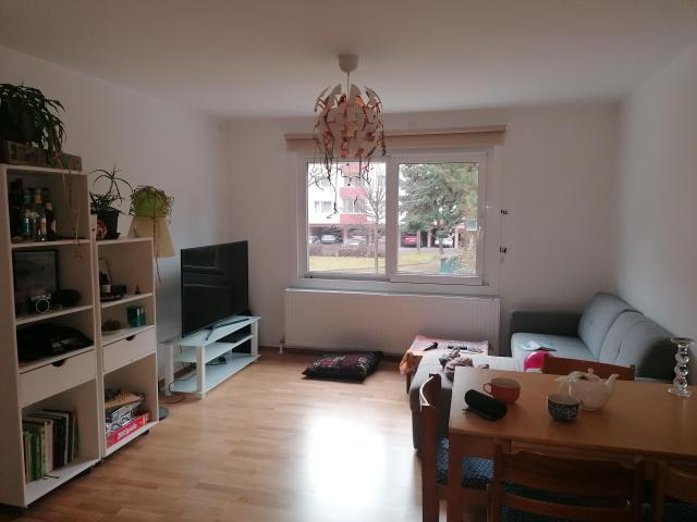 3 Zimmer Wohnung zwischen alter und neuer Donau