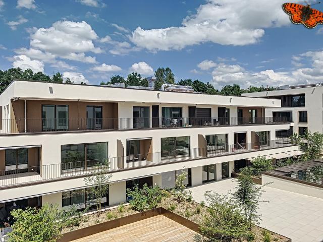 3½ ZIMMER Neu mit Balkon!