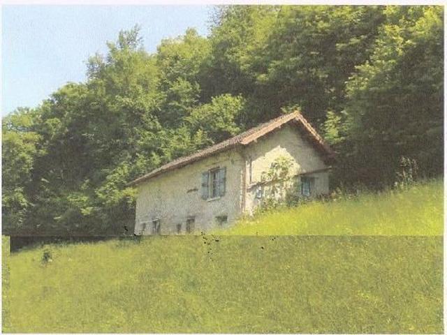 3 Zimmer Rustico zum Ausbauen mit grosser Wiesenfläche an sehr ruhiger, sonniger Aussichtslage / rustic to renovate with large raden