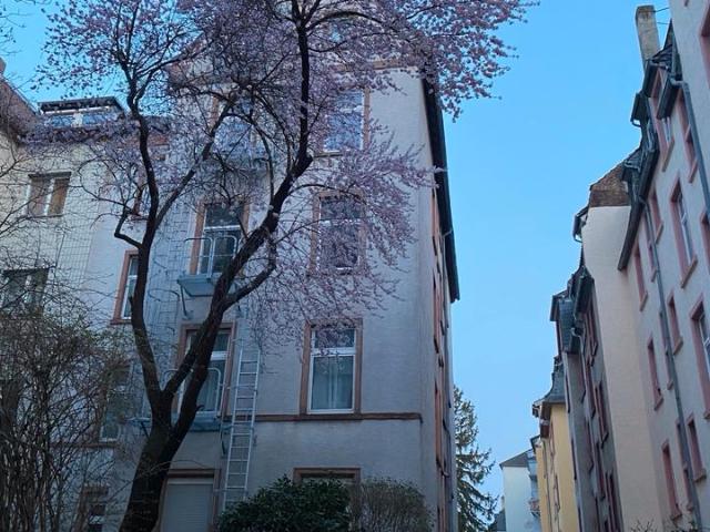 3 Zimmerwohnung in Frankfurt Nordend provisionsfrei zu verkaufen