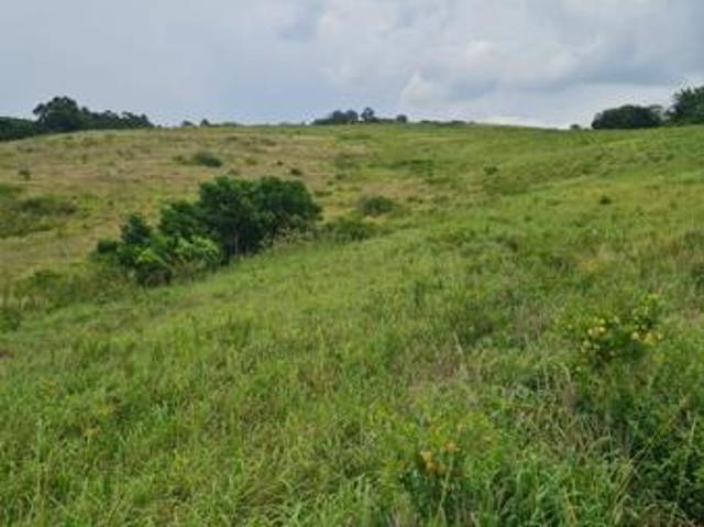 3 008 m² Land available in Ballito Central