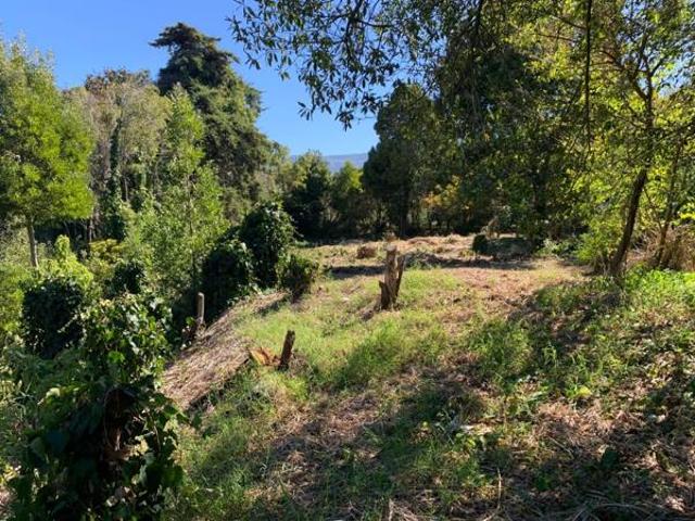 3 028 m² Land available in Constantia