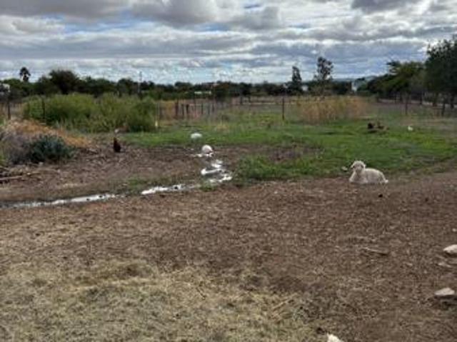 3 113 m² Land available in Prince Albert