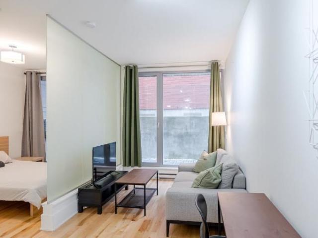 3 1/2 Montréal Centre Sud 1 595 $/mois