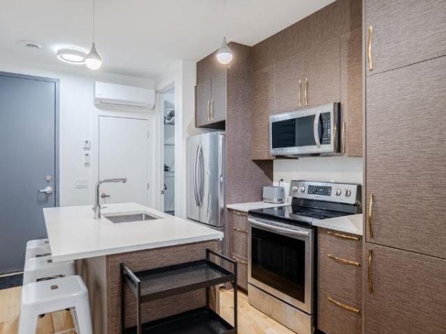 3 1/2 Montréal Centre Sud 1 595 $/mois