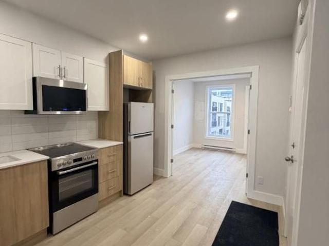 3 1/2 Montréal Centre Sud 1 395 $/mois