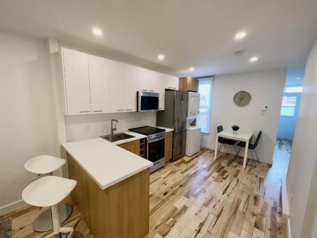 3 1/2 Montréal Hochelaga / Maisonneuve 1 350 $/mois