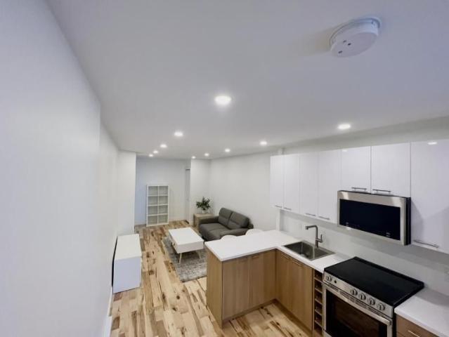 3 1/2 Montréal Hochelaga / Maisonneuve 1 350 $/mois