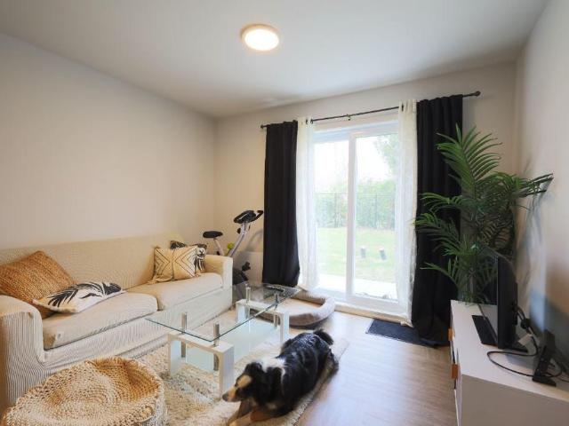 3 1/2 Longueuil animaux autorisés!