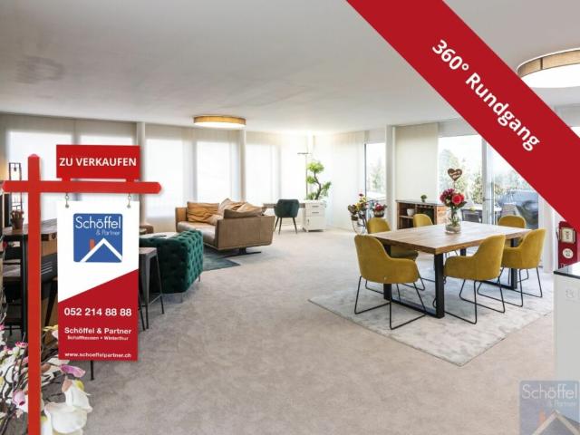 3 1/2 Zimmer Attikawohnung