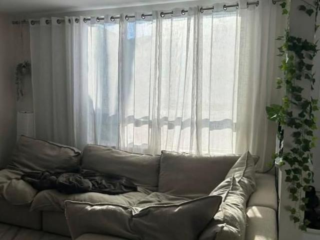 3 1/2+bureau Lévis chien accepté
