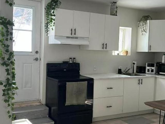3 1/2+bureau Lévis chien accepté
