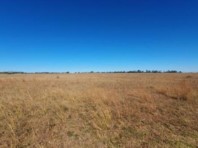 3.1 ha Land available in Nelsonia
