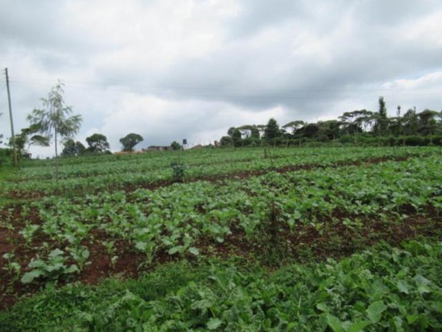 3.25 Acres of Land For Sale in Ruku/Wangige