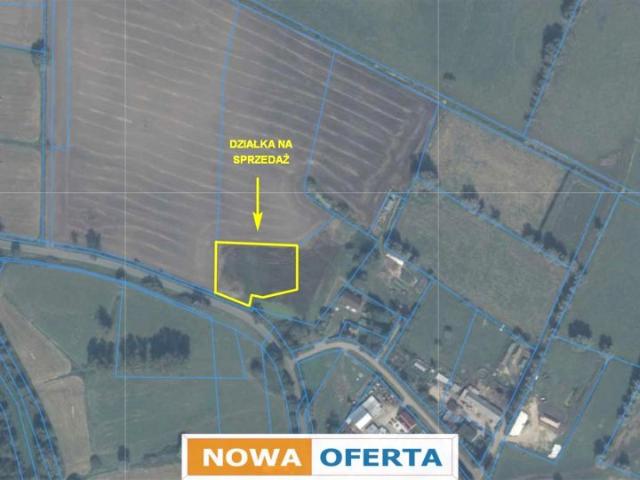3 213 m², Węzina