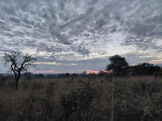 3.2 ha Land available in Vaalwater