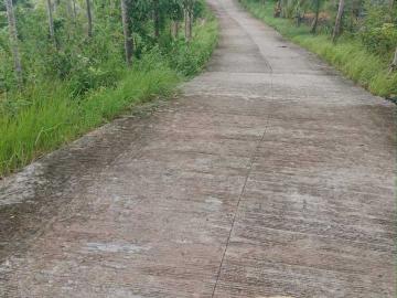 3.2 hectares Residential Farm For Sale in Sogod Cebu [Lots ] April 2025 in Sogod, Cebu for sale