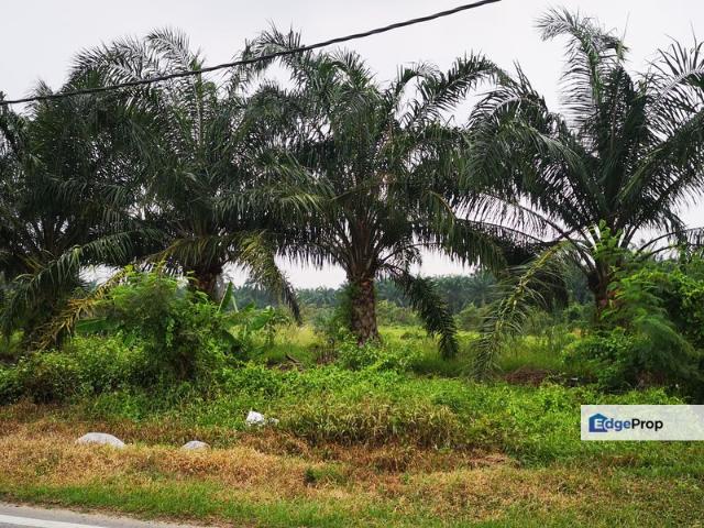 3.2ac Residential Land For Sale Beranang, Selangor