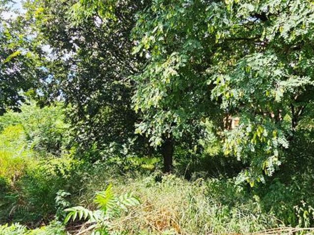 3 346 m² Land available in Lydenburg Mashishing