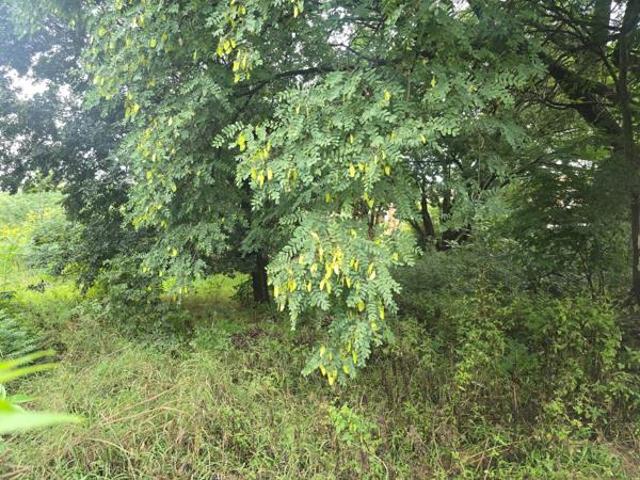 3 346 m² Land available in Lydenburg Mashishing