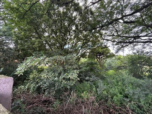 3 346 m² Land available in Lydenburg Mashishing