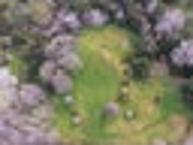 3.3 Acres | No Covenants | Tidal Stream