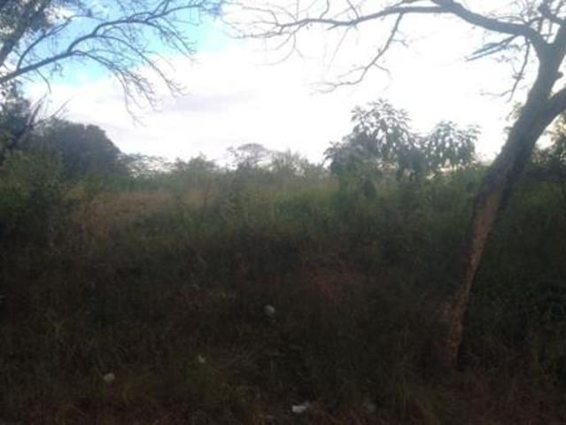 3 477 m² Land available in Tzaneen