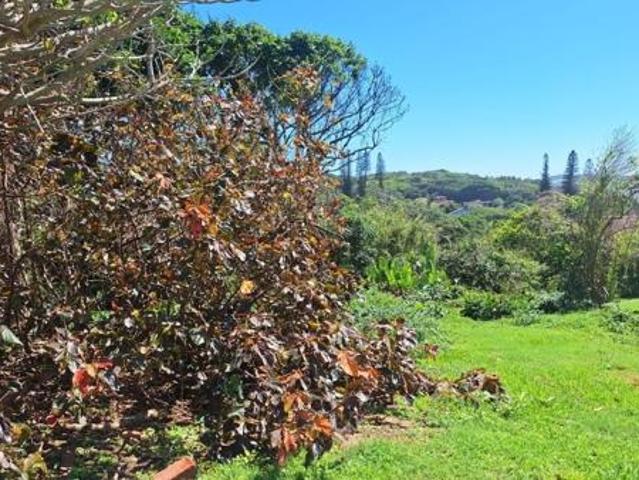 3 583 m² Land available in Umzumbe