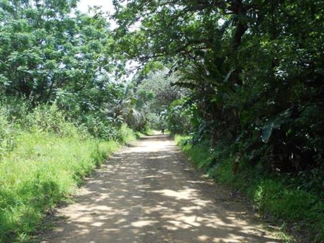 3 595 m² Land available in Palm Beach