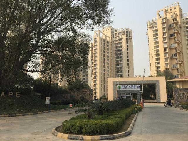 3.5 BHK Apartment in Sector 50 for rent Gurgaon. The reference number is 19594614