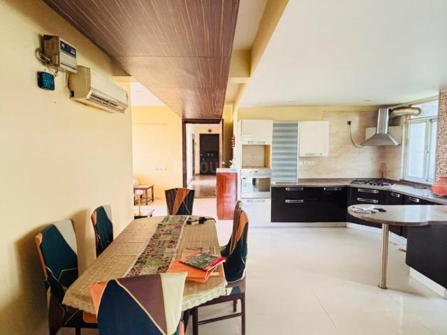3.5 BHK Apartment in Sector 51 for rent Gurgaon. The reference number is 20837307