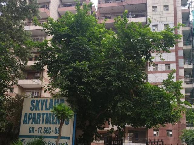 3.5 BHK Apartment in Sector 56 for resale Gurgaon. The reference number is 19803070