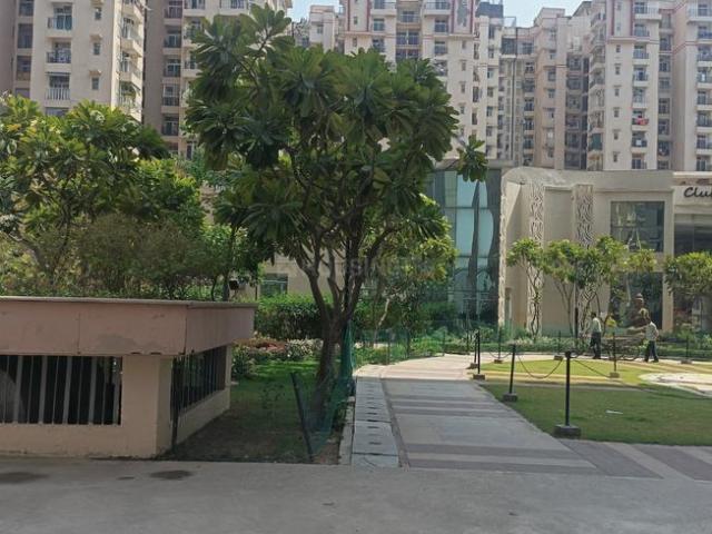 3.5 BHK Apartment in Sector 76 for rent Noida. The reference number is 20242049
