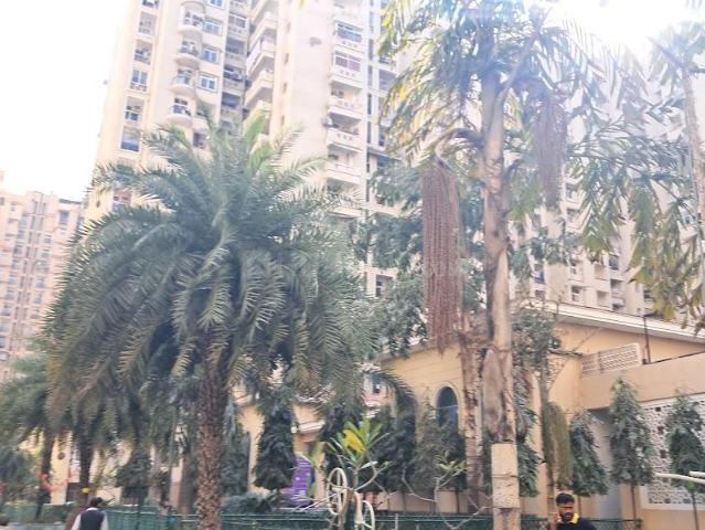 3.5 BHK Apartment in Sector 76 for resale Noida. The reference number is 20215541