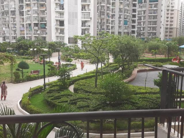 3.5 BHK Apartment in Sector 77 for rent Noida. The reference number is 20783289