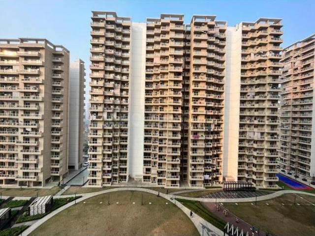3.5 BHK Apartment in Sector 79 for rent Noida. The reference number is 20559728