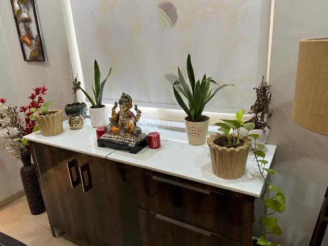 3.5 BHK Apartment in Sector 82 for rent Gurgaon. The reference number is 19937140