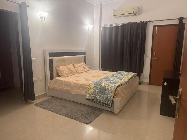 3.5 BHK Independent Builder Floor in DLF Phase 4 for rent Gurgaon. The reference number is 20199305
