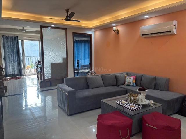 3.5 BHK Independent Builder Floor in Sector 43 for rent Gurgaon. The reference number is 20350847