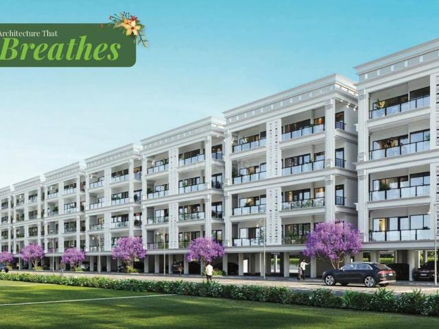 3.5 BHK Independent Builder Floor in Sector 5 for resale Sohna. The reference number is 20401808