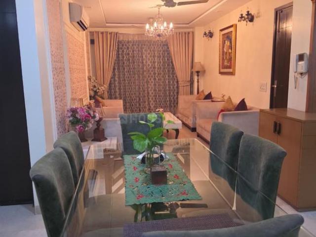 3.5 BHK Independent Builder Floor in Patel Nagar for resale New Delhi. The reference number is 20866432