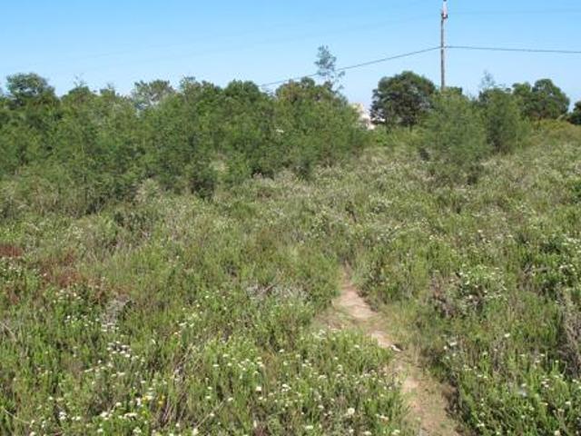 3.5 ha Land available in Humansdorp