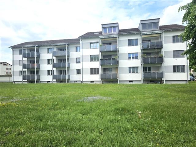 3.5 Room apartment