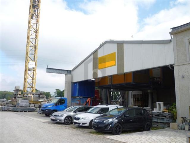 SELTENE, PROFESSIONELLE UND STRATEGISCHE HALLE