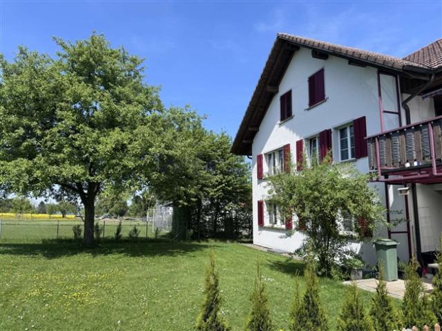 3.5 Room apartment