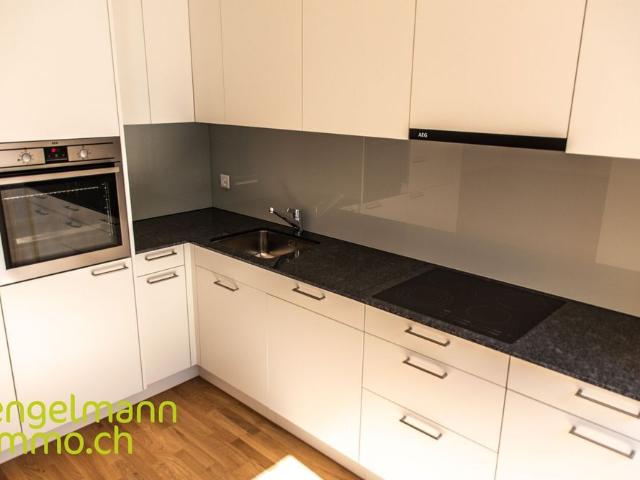 3.5 room apartment/ apartment de 3.5 pièces