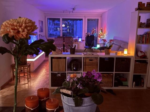 3.5 ROOM APARTMENT FOR A SINGLE PERSON IN EFFRETIKON ZH, FURNISHED, TEMPORARY