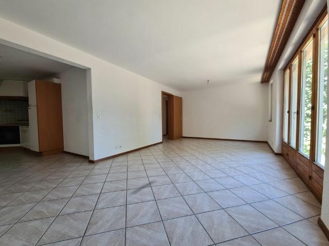 3.5 room apartment with terrace and garden
