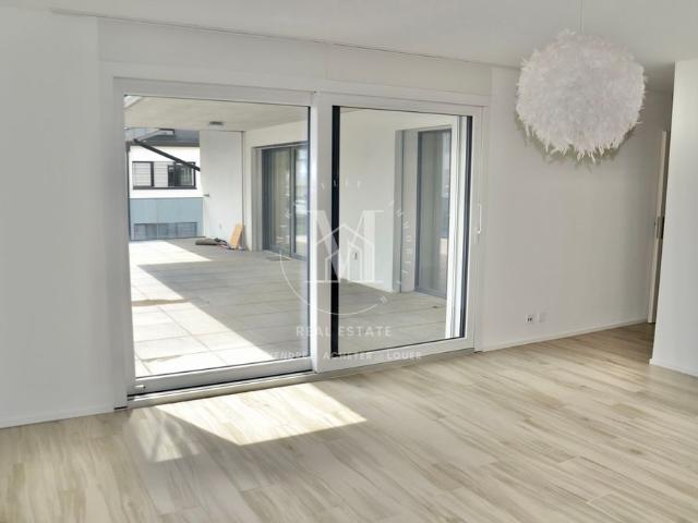 3.5 room apartment with large terrace near the lake Rolle