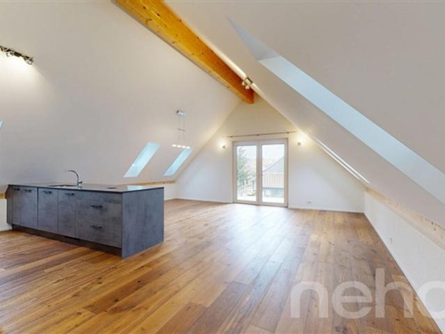 3.5 Room attic apartment